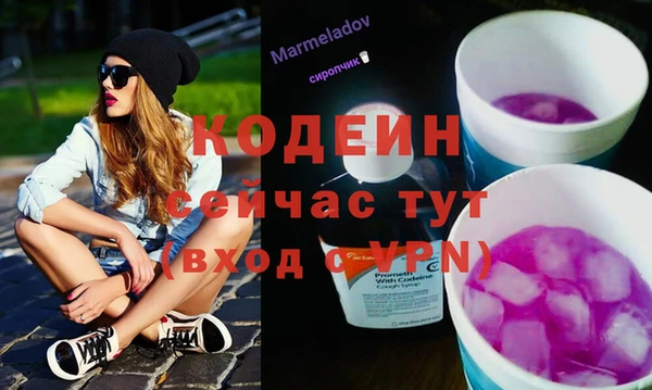 гидра Бердск