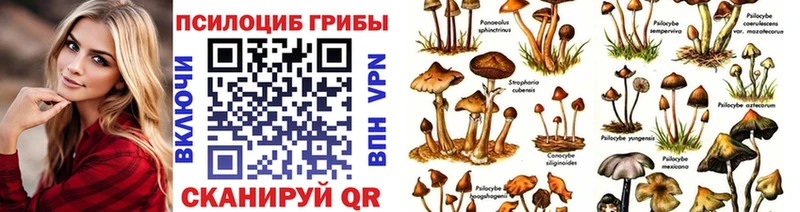 Галлюциногенные грибы прущие грибы Тюмень