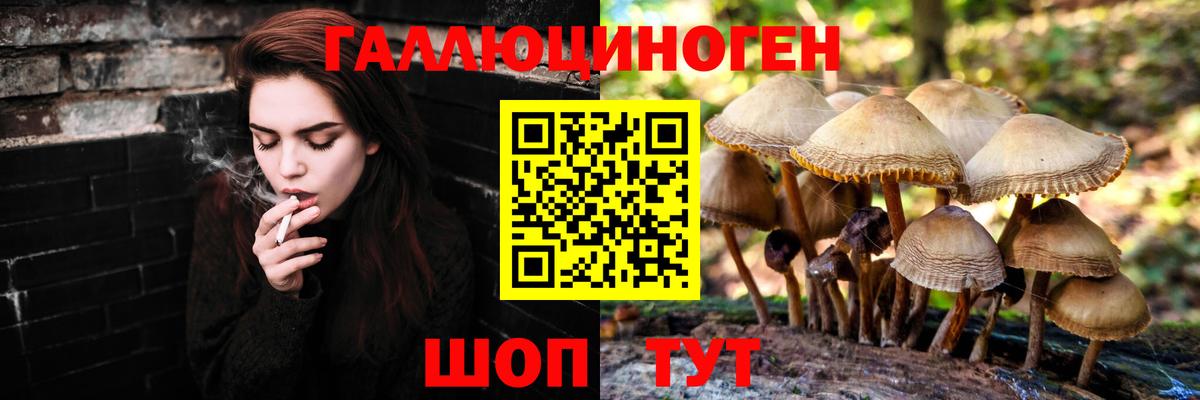 Псилоцибиновые грибы ЛСД  где продают наркотики  Тюмень 