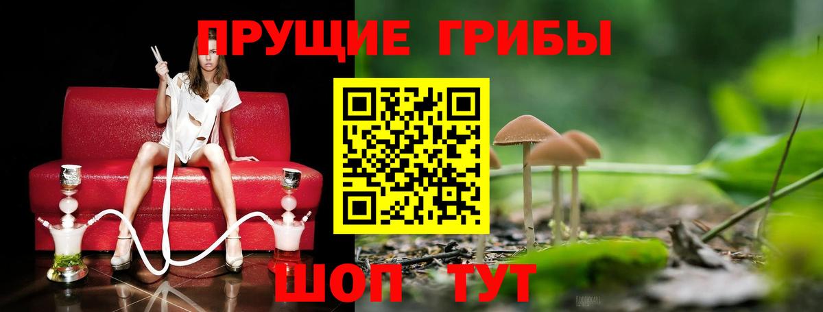 Галлюциногенные грибы мухоморы  Галлюциногенные грибы Magic Shrooms  Вход с VPN  Тюмень 