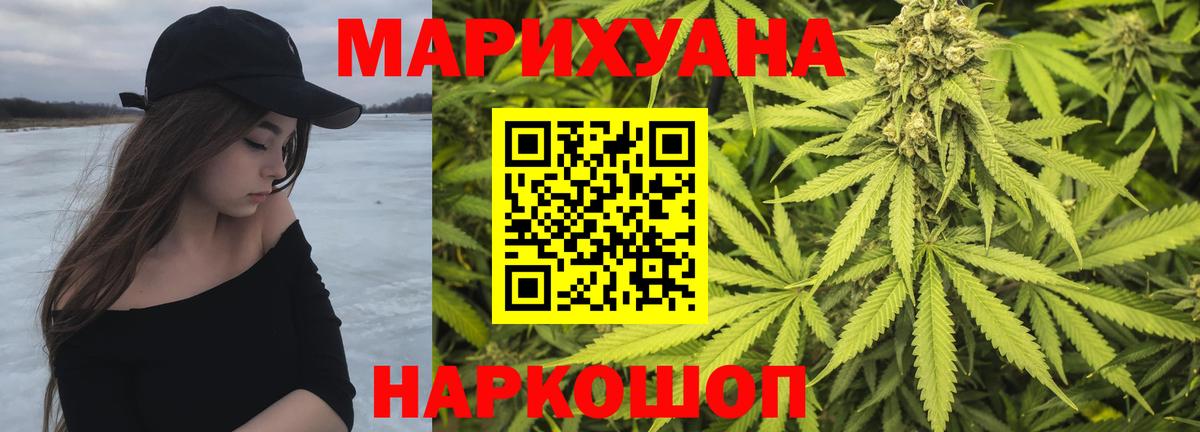 Конопля SATIVA & INDICA  Бошки Шишки план  Бошки Шишки SATIVA & INDICA  Тюмень 